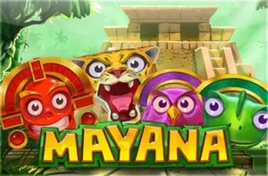 mucha mayana pl